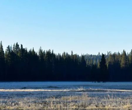 Horse Camp Campground