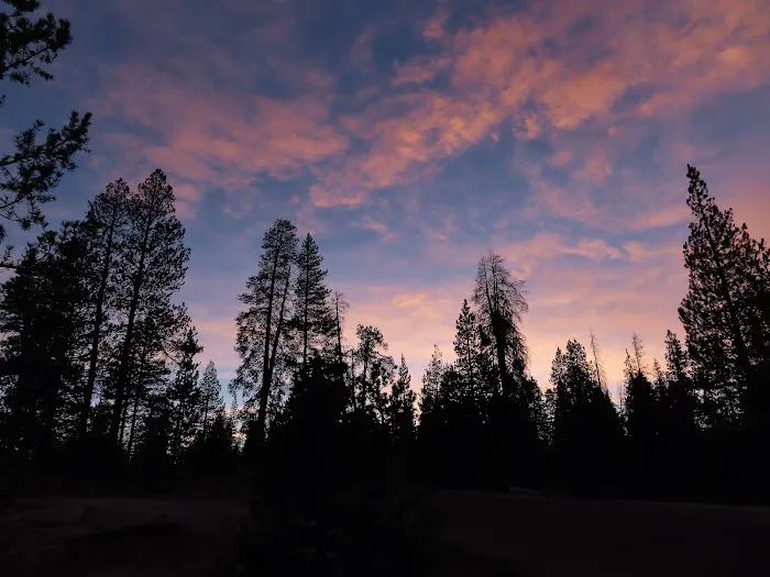 Horse Camp Campground Picture 5