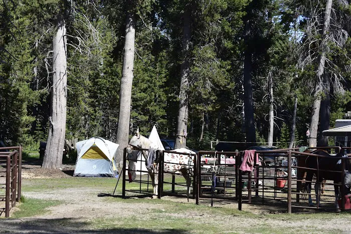 Horse Camp Campground Picture 8