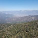 Buck Rock Campground Sequoia NF