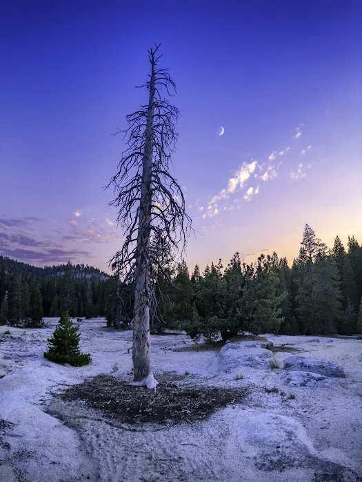 Big Meadow Campground Picture 3