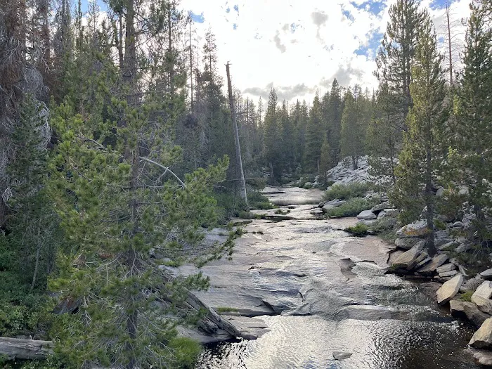 Big Meadow Campground Picture 4