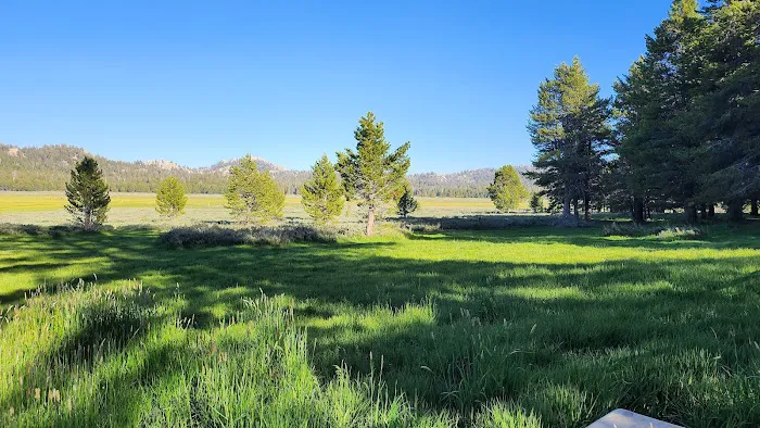 Big Meadow Campground Picture 7