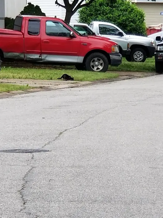 Woodshire Estates Mobile Home Park Picture 1