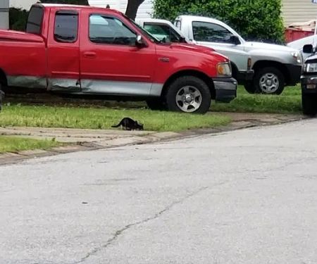 Woodshire Estates Mobile Home Park