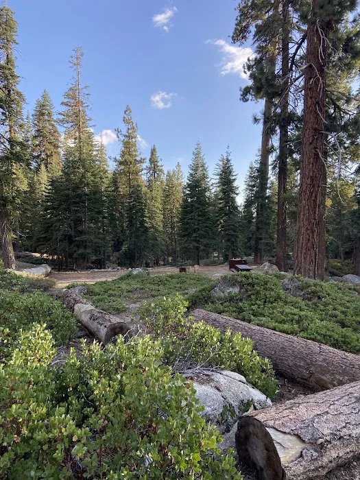 Upper Stony Creek Campground Picture 6