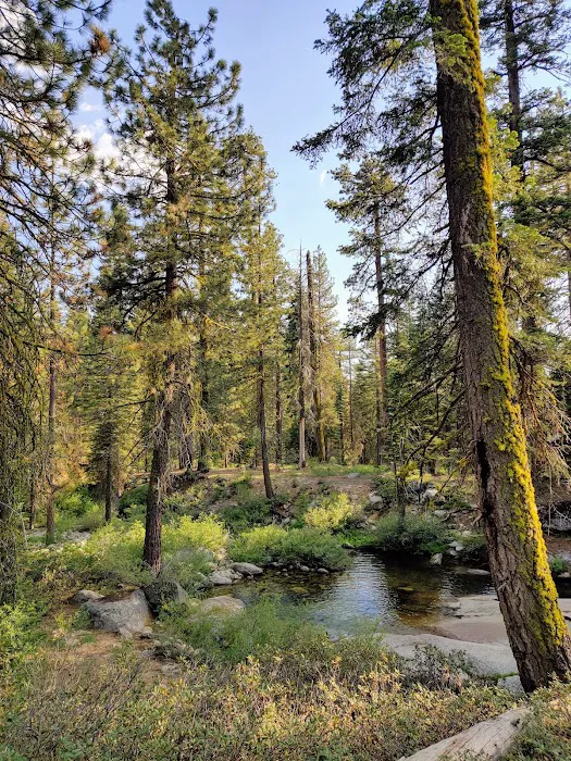 Upper Stony Creek Campground Picture 5