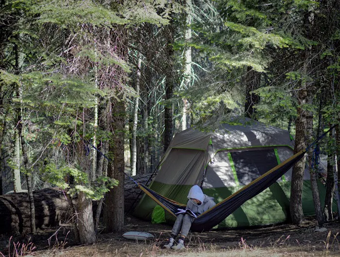 Upper Stony Creek Campground Picture 9