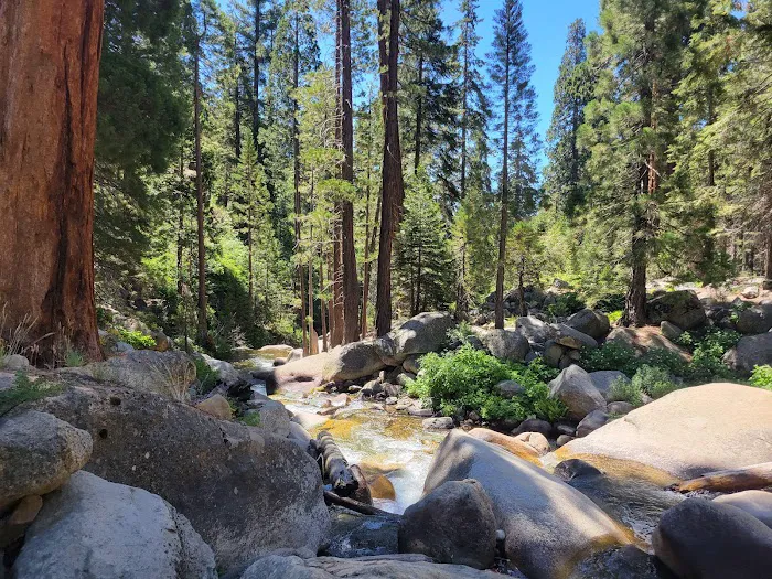 Hidden Falls Campground Picture 3