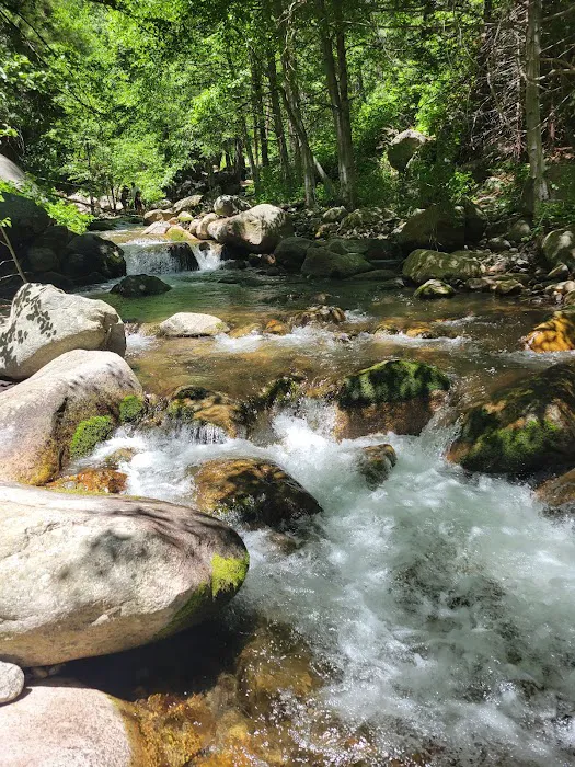 Hidden Falls Campground Picture 2