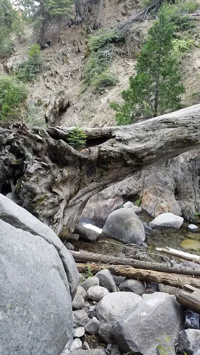 Hidden Falls Campground Picture 6