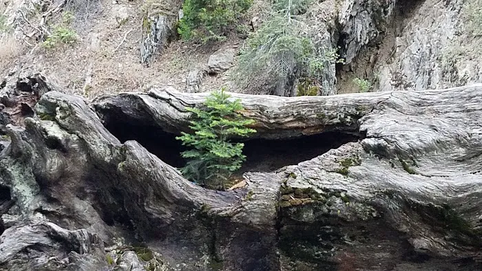 Hidden Falls Campground Picture 7