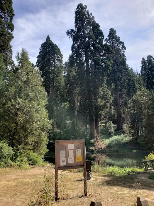 Hedrick Pond Campground Picture 4
