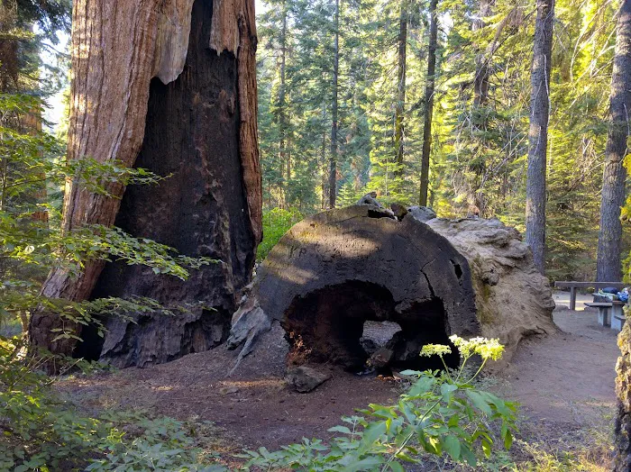 Hedrick Pond Campground Picture 1