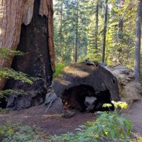 Hedrick Pond Campground ico