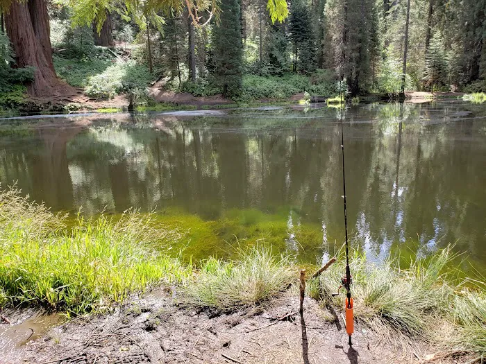 Hedrick Pond Campground Picture 5