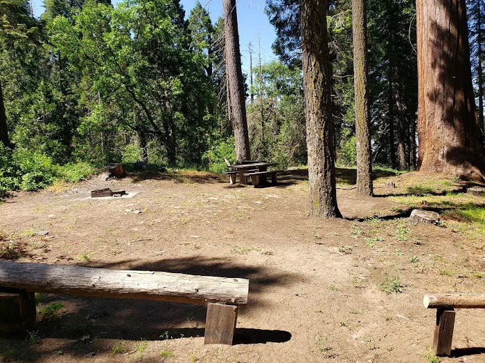 Hedrick Pond Campground Picture 9