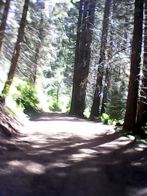 Hedrick Pond Campground Picture 7