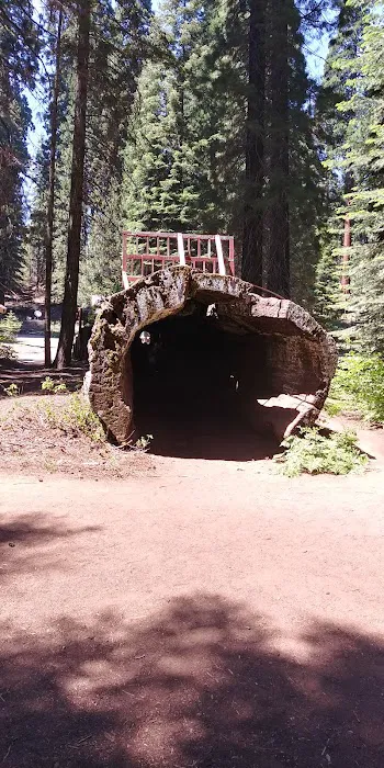 Balch Park Campground Picture 4