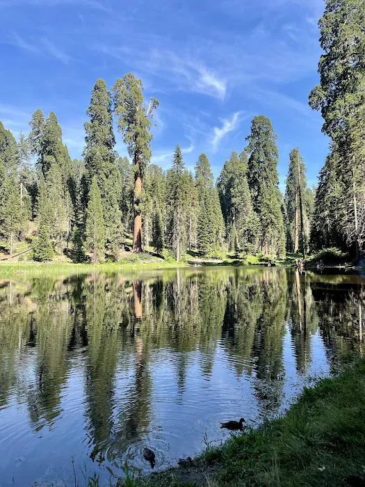 Balch Park Campground Picture 3