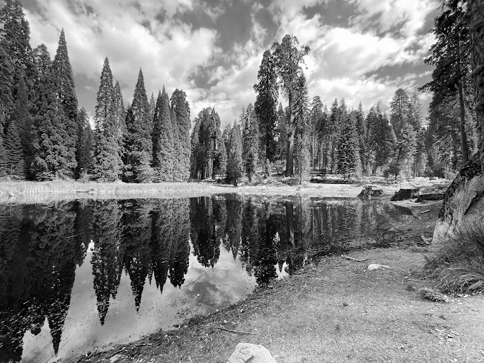 Balch Park Campground Picture 9