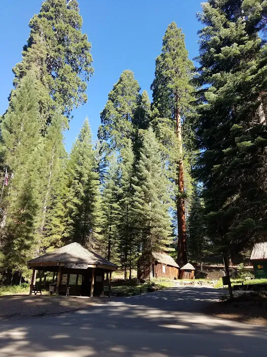 Balch Park Campground Picture 6