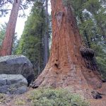 Moses Gulch Campground