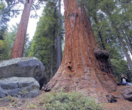 Moses Gulch Campground