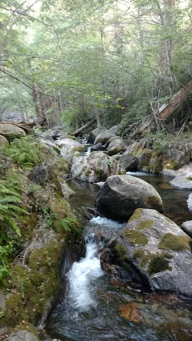 Moses Gulch Campground Picture 3