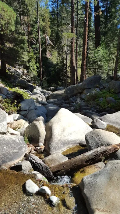 Moses Gulch Campground Picture 2