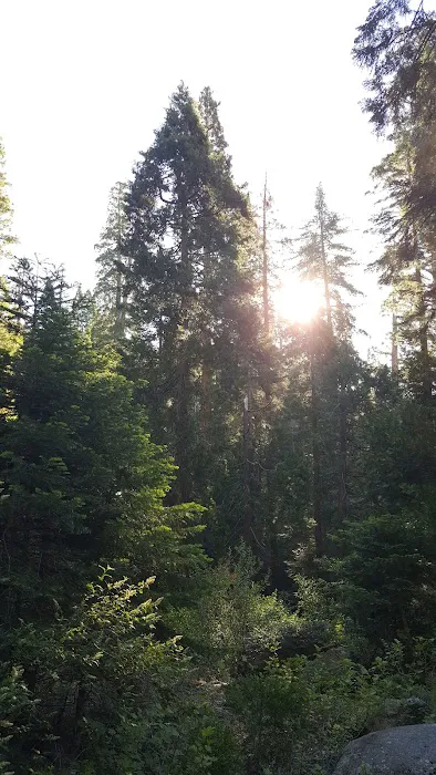 Moses Gulch Campground Picture 6