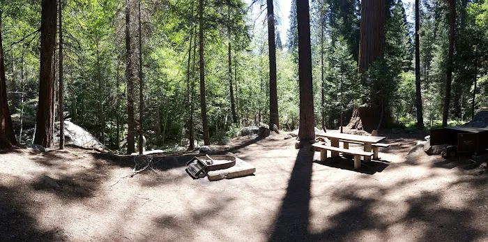 Moses Gulch Campground Picture 4