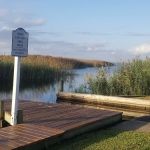 Sandbridge Beachcomber's Bargain Lot 195