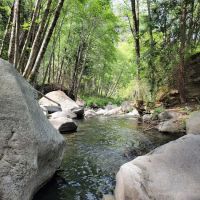 Wishon Campground ico