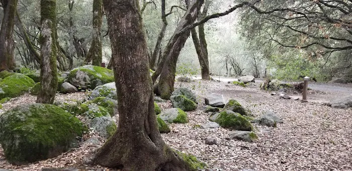 Wishon Campground Picture 9