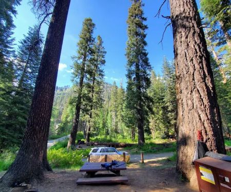 Cold Springs Campground