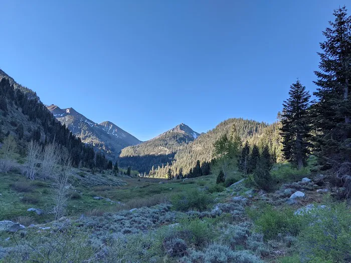 Cold Springs Campground Picture 5