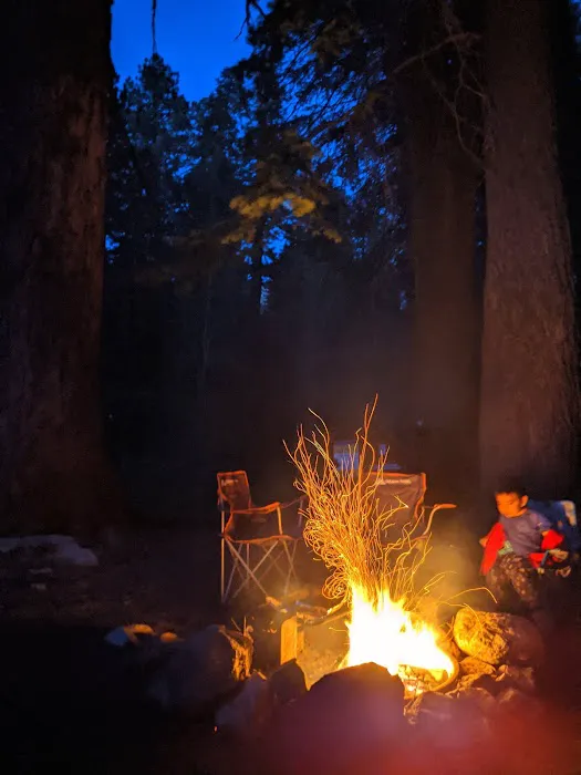 Cold Springs Campground Picture 4