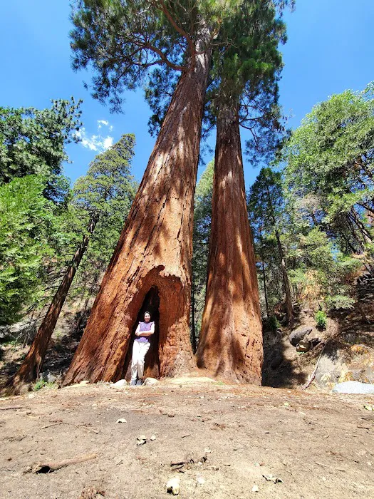 Cold Springs Campground Picture 6