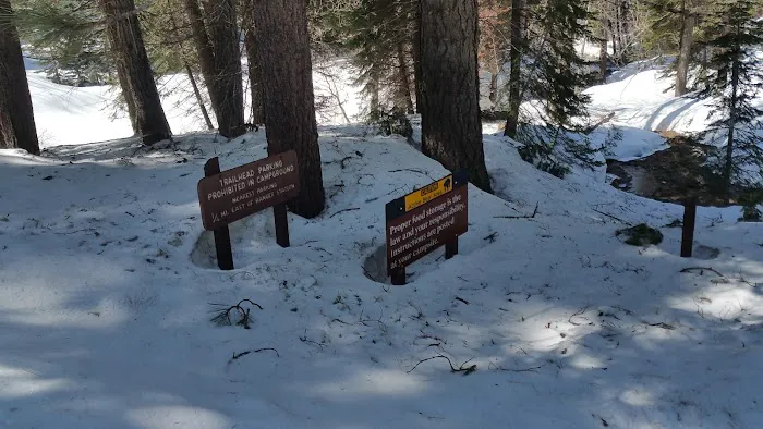 Cold Springs Campground Picture 7