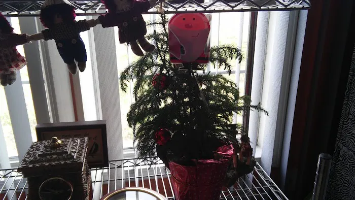 Southern Pines Mobile Home Prk Picture 2