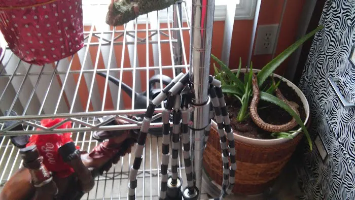 Southern Pines Mobile Home Prk Picture 3