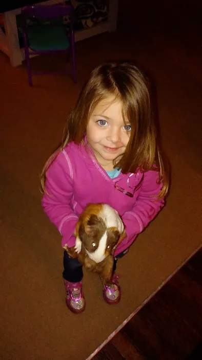 HOME 47 Southern Pines Mobile Home Park Picture 8