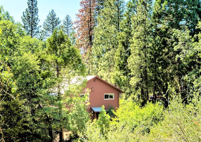 Sequoia Trails Cabin Picture 7
