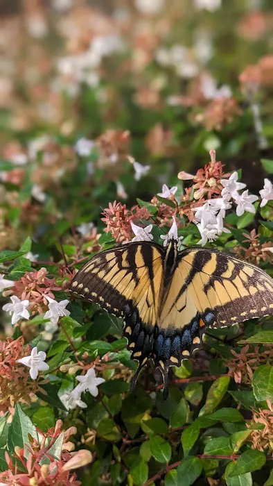 Carolina Village Mobile Home Community Picture 2