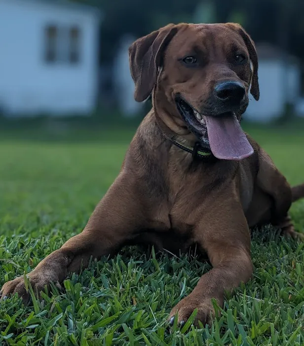 Carolina Village Mobile Home Community Picture 1