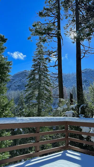 Redwood Retreat Picture 9