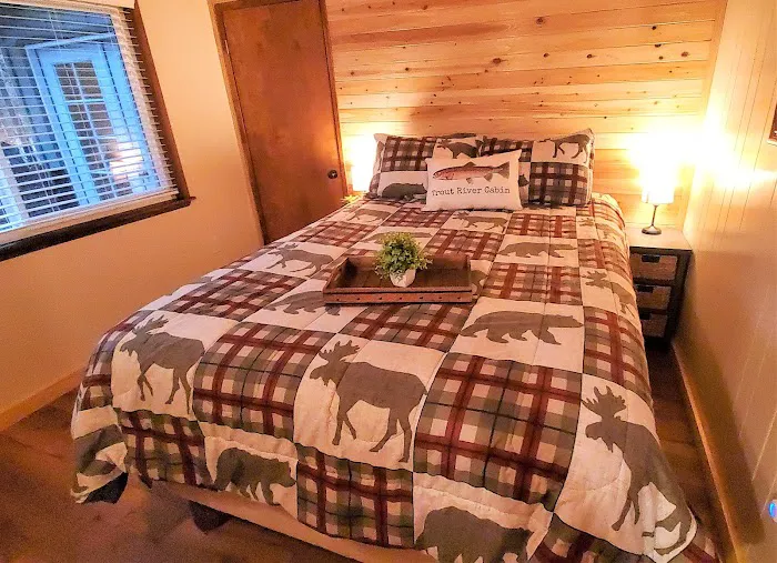 Trout River Cabin Picture 2
