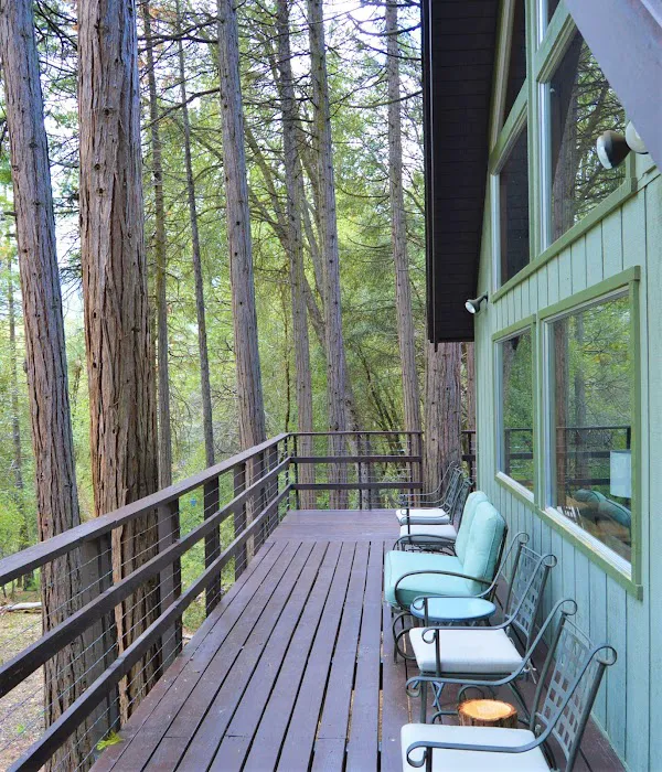 Trout River Cabin Picture 5