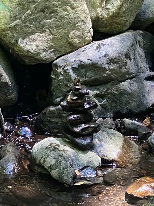 Coy Flat Campground Picture 6